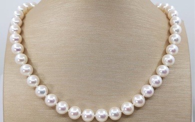 9x9.5mm - 925 Akoya pearls, Silver - Necklace