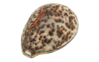 A George III sterling silver gilt mounted tiger cowrie shell, London 1809 by Thomas Phipps and Edward Robinson