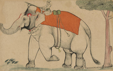A ROYAL ELEPHANT AND MAHOUT