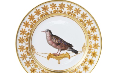 A Sèvres Plate from the Service des oiseaux des Amérique du Sud, Circa 1820