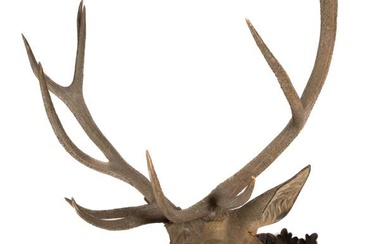 A monumental Austrian carved wood deer head trophy 'Elefánt'