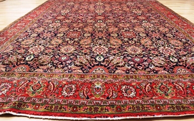 Alter Tekab Bidjar - Carpet - 330 cm - 232 cm
