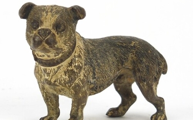 Austrian cold painted bronze Bulldog, possibly by Franz Xave...