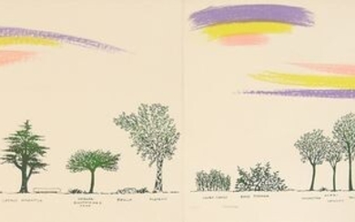 Bruno Munari(1907-1998) - Un viale di alberi diversi