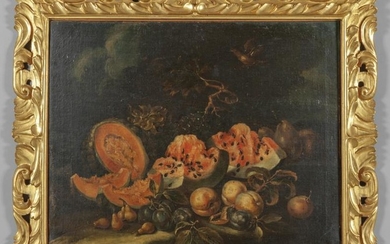 CASTELLI GIOVANNI PAOLO (1658-1730) "Natura