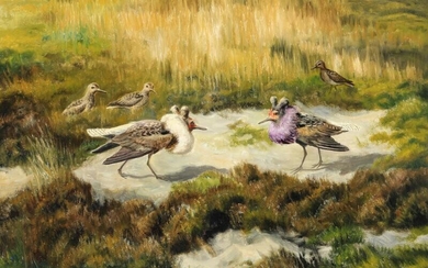 SOLD. Carl Høyrup: Landscape with ruff birds. Signed C. Høyrup. Oil on canvas. 72 x 104 cm. – Bruun Rasmussen Auctioneers of Fine Art