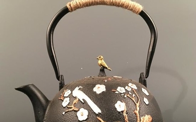 Chinese Iron 'Bird & Flower' Teapot