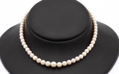 Collier un rang de perles de culture disposées... - Lot 19 - Richard Maison de ventes