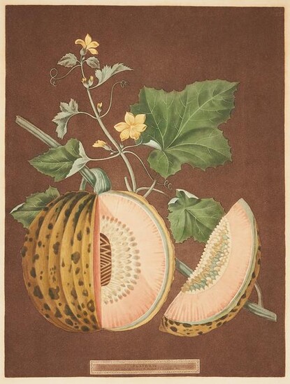 George Brookshaw Cantaloupe Print