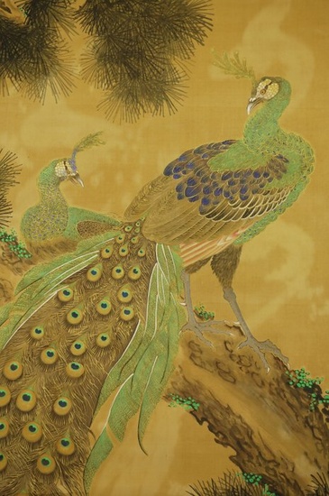 Hanging scroll, Painting - Silk - Attributed to 'Tsuji Kako' 都路華香(1871-1931) - Peacocks on pine tree - With signature and seal 'Kako' 華香 - Japan - 1900-1920(Meiji / Taisho period)