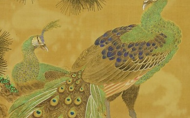 Hanging scroll, Painting - Silk - Attributed to 'Tsuji Kako' 都路華香(1871-1931) - Peacocks on pine tree - With signature and seal 'Kako' 華香 - Japan - 1900-1920(Meiji / Taisho period)