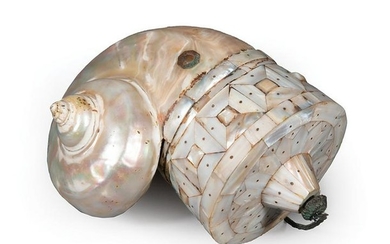 Indian Turbo Marmoratus Shell Flask