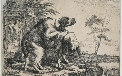 Jan Fyt (1611-1661) Etching, Two Dogs, 1642