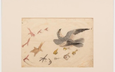 Japanese School: A Pair of Cranes; and Studies of a