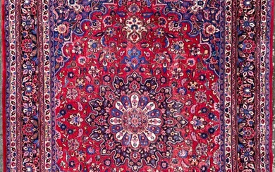 Meshed - Carpet - 371 cm - 269 cm