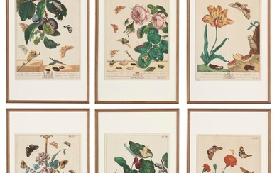 Moses Harris (English, 1731–1785), A group of six handcolored plates of insects and flowers
