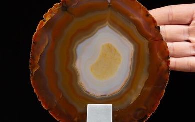 Nice Carnelian Agate Slice on wood and inox steel base - 170×120×80 mm - 440 g