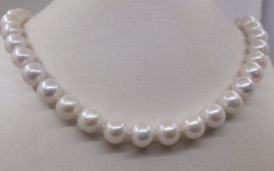 No Reserve Price - 10x11.5mm White Edison Pearls - Necklace White gold
