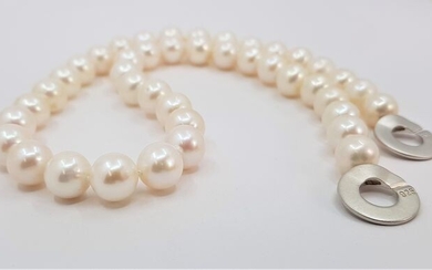 No reserve price - 10x11mm Round Lustrous Freshwater Pearls - 925 Silver - Necklace