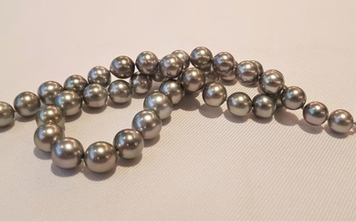 No reserve price - 925 Silver - 10x12.3mm Round Tahitian Pearls - Necklace