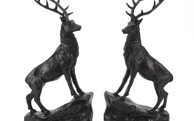 Pair of large patinated bronze stags raised on black marble ...