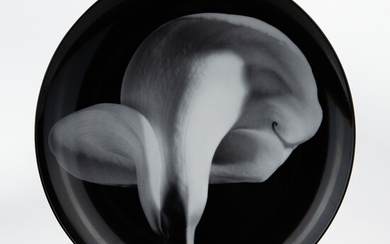Robert Mapplethorpe (1946-1989) "Calla Lily 1984" Plate for Swid Powell