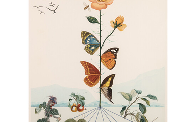 SALVADOR DAL (1904-1989) FLORDALI II, 1981 Lithographie en couleurs et...