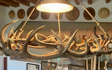 Suspension consisting of an entanglement of deer trophies....