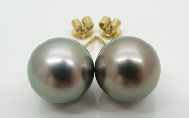 Tahitian Pearls, Silvery Peacock Glow, Round, 12.42, 12.45 mm - 14 kt. Yellow gold - Earrings