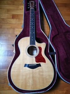 Taylor - 414 RCE - 25 anniversario - edizione limitata- palissandro indiano - Acoustic Guitar - Italy - 1999