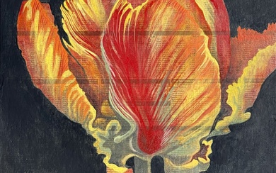Tulip Fever: Flaming Parrot , James Dearlove