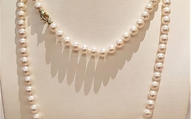 UNITED PEARL - NO RESERVE PRICE - 18 kt. Yellow Gold - 8x8.5mm Akoya Pearls - Long Necklace