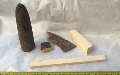 Woolly Mammoth - Tusk and Tusk Bark pieces (5) -Mammuthus primigenius