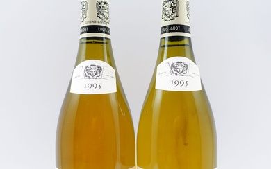 12 bouteilles CHASSAGNE MONTRACHET 1995 (blanc) 1er cru Morgeot
