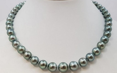 14 kt. Yellow Gold - 8x11mm Round Tahitian Pearls