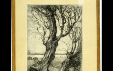 Firma indecifrata "Anatomia dell'albero" acquaforte su seta (cm 29x21 circa) firmato e titolato in basso a lapis, in cornice (lievi...