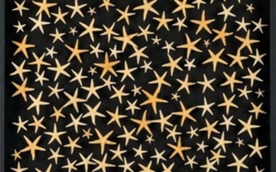 "STARS", composition d'étoiles de mer sur fond velours noir en coffret vitré