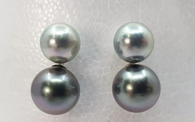 7.5x8.5mm Tahitian and Akoya Pearls - 18k White Gold - Earrings