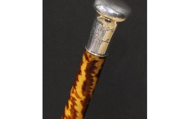 A 19th century tortoiseshell walking cane, the silver colour...