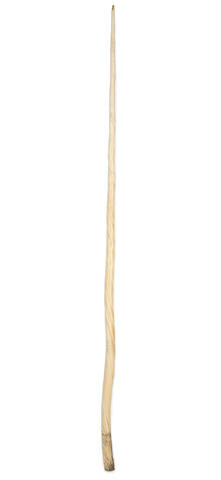 A large Narwhal Tusk, 19th century