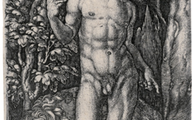 Aldegrever, Heinrich (1502 Paderborn - 1555/62 Soest)Adam mit dem Löwen