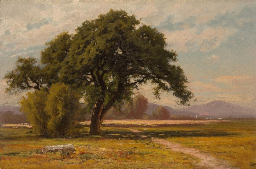 Attributed to Kenneth Miller Adams, American 1897-1966- Cal. White Oak, San Ramon Valley; oil on canvas, signed with initials 'KMA' (lower right), titled 'Cal. White Oak / San Ramon Valley' on the reverse, 40.6 x 61 cm. Note: While Adams's mature...