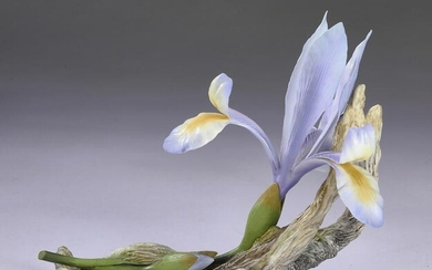 Boehm porcelain 'Spanish Iris'