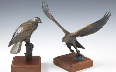 Chester Comstock, "Perched Eagle," and "Flying Eagle,"