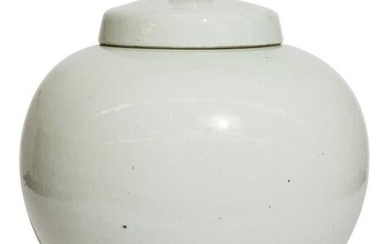 Chinese Globular Porcelain Lidded Vase