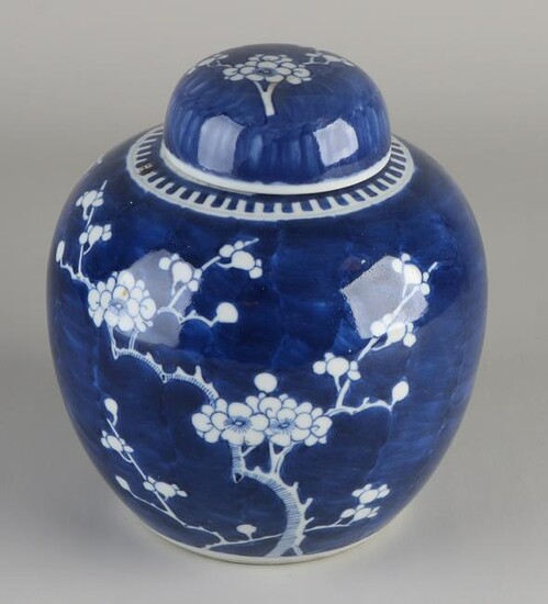 Chinese porcelain ginger jar with blossom branch