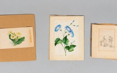 Collection of 18th Century Watercolors