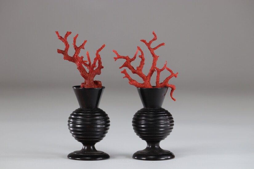 Curiosité pair de vases décoré de corail rouge 19ème