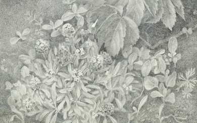 ESPERANZA NUERE (1935 / .) "Flowers and Plants", 1971