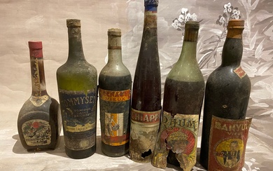 Ensemble de 6 bouteilles dont : - Grenache vieux, Caves GASPY Toulouse, étiquette wetterwald. -...